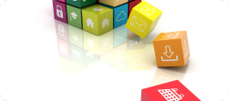 Social Media Handling