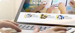 Static & Dynamic Website