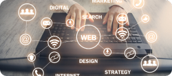 Web Design / Development